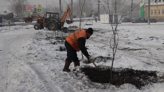 Зима. Высадка деревьев смотреть онлайн
