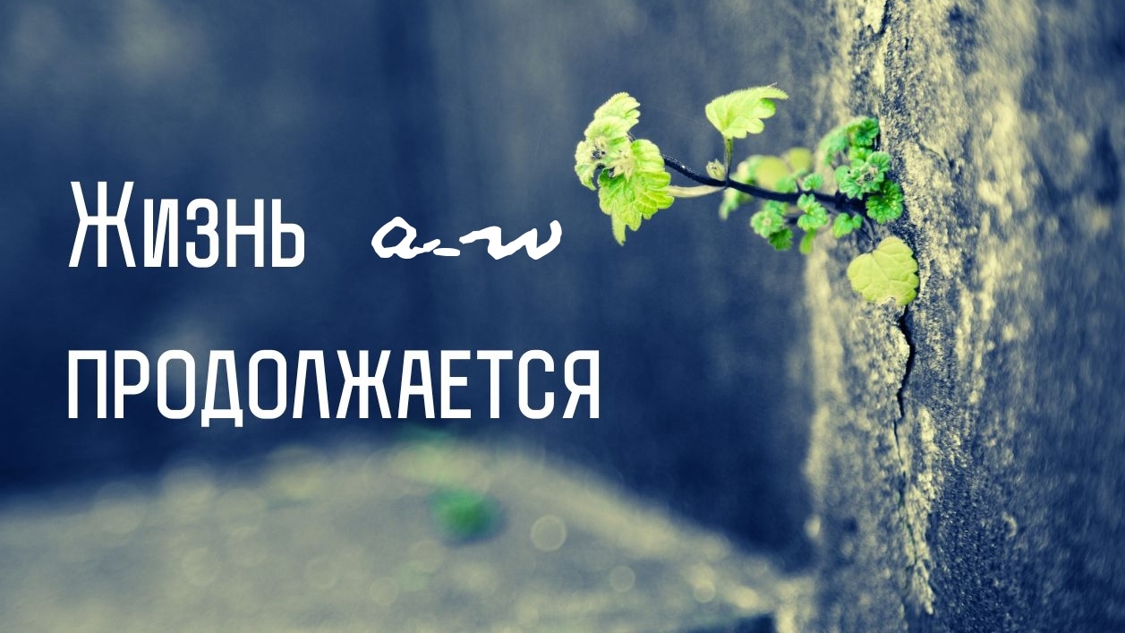 аНДРЕЙ жАБИН - Жизнь продолжается смотреть онлайн