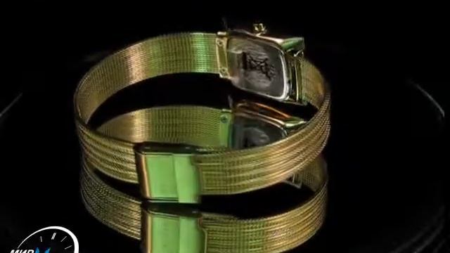Skagen 463SGG.wmv смотреть онлайн