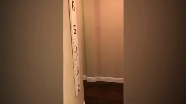 Самые смешные пранки смотреть онлайн