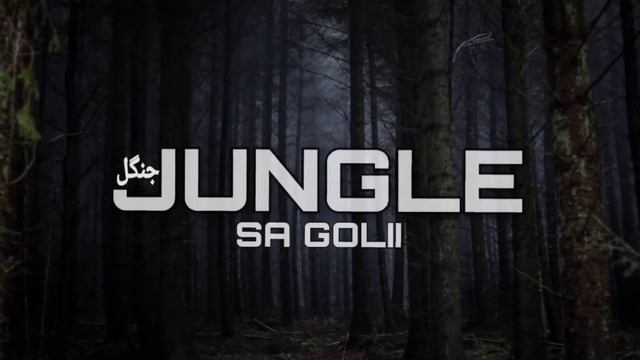 S A GOLII | JUNGLE | OFFICIAL AUDIO | ( PROD BY Tp Vibes ) #jungle #newsong смотреть онлайн