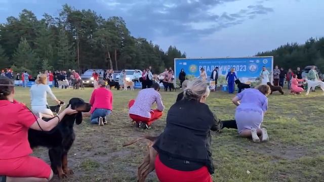 Владимир 1.07.2023. Вечерние бесты. Часть 3. смотреть онлайн