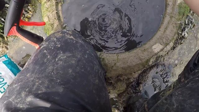 FLOAT fishing for BASS and lots of bait collecting shrimps,peelercrab lugworm sea fishing uk смотреть онлайн