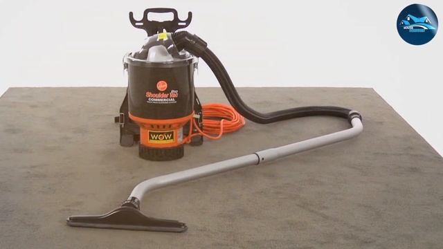 Bed Bug Infestation? Here Are the 7 Best Vacuums to Use смотреть онлайн