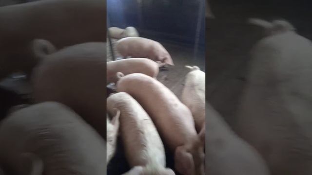 1 февраля 2024 г. смотреть онлайн