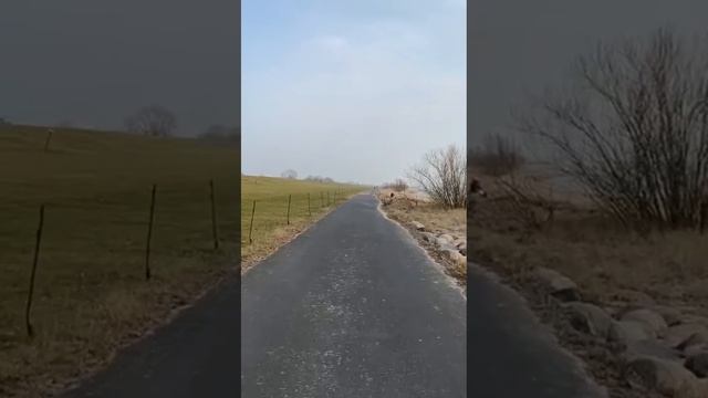 🛼На роликах в доль моря.🛼Кто с нами??🛴🛴 смотреть онлайн