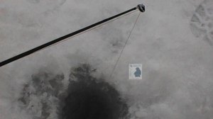 Жерлицы. 26.01.2025г