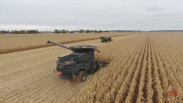 FENDT IDEAL 9T Combine Harvesting Corn