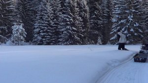 Охота на Лисицу капканами. сезон 24-25г. / ПРОВЕРЯЮ КАПКАНЫ, ЗАЛОЖИЛ ПРИВАДУ.