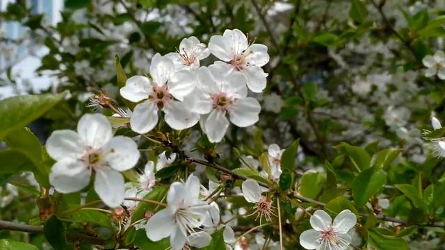 Бывшие 3 сезон 6 серия | Дата выхода смотреть онлайн
