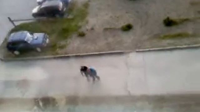 Синька чмо смотреть онлайн