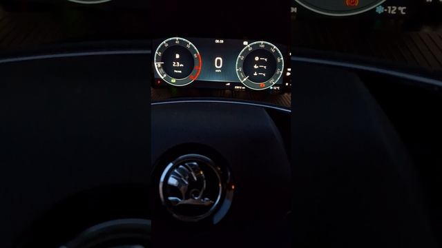 Skoda: Плохой Аккумулятор с Завода? 🤔