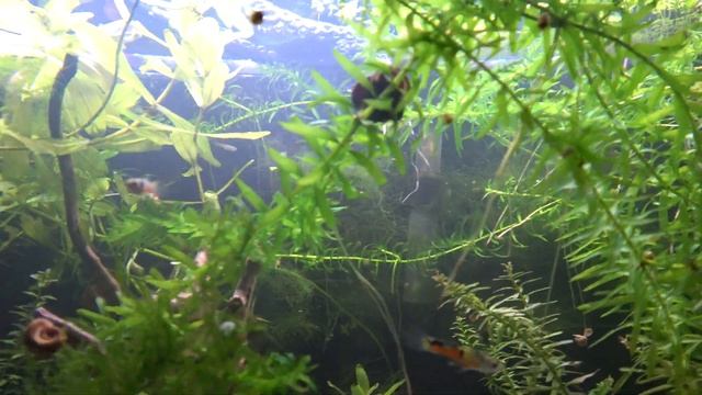 Stack 'em High: Another Fishroom Tour смотреть онлайн