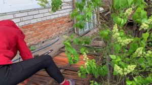 УБИРАЮ ГОРЫ ХЛАМА/ПРОДОЛЖАЮ РАСХЛАМЛЕНИЕ ДАЧНОГО УЧАСТКА/МНОГО ХЛАМА НА УЧАСТКЕ/ПРИОБРАЖЕНИЕ  ДАЧИ