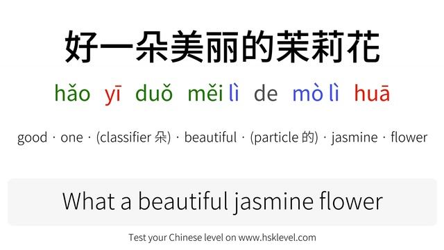 Chinese sentence explained: 好一朵美丽的茉莉花 смотреть онлайн