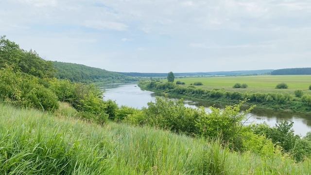 Кудыкина гора июнь 2023 смотреть онлайн