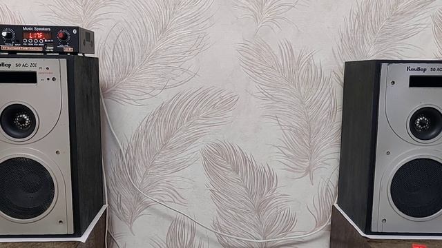 Усилитель звука G30