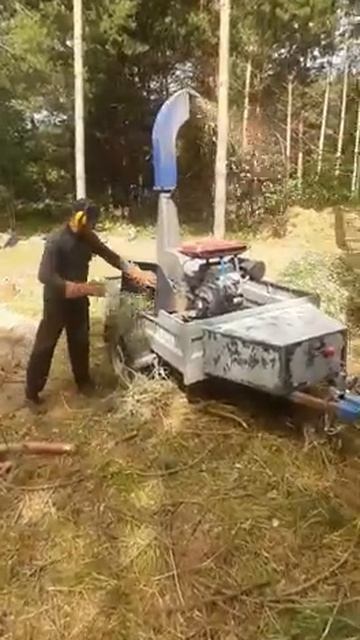 Видео в работе измельчителя древесины ЕГЕРЬ 600 Б24 на прицепе смотреть онлайн