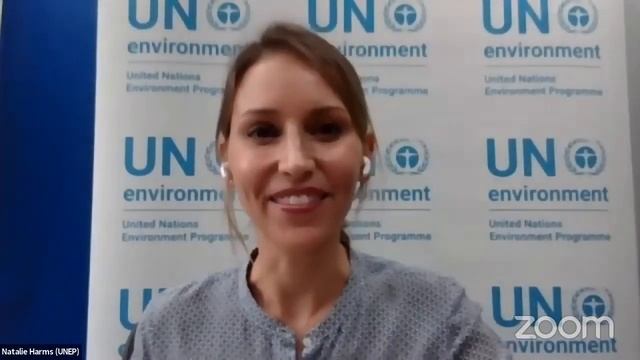 RBHRF2020 Side Event - Building Back Better Responsible Business, Human Rights and the Environment смотреть онлайн