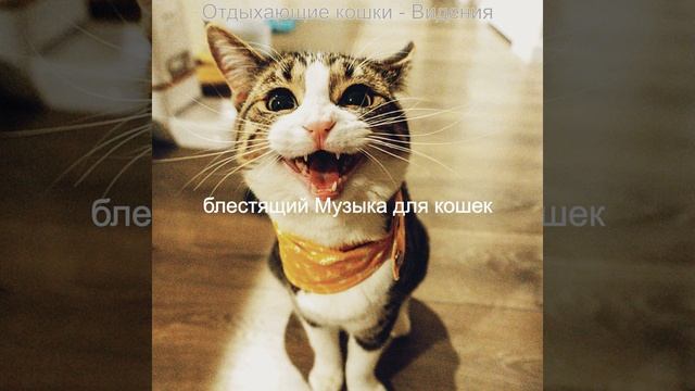 Атмосфера (Спящие кошки) смотреть онлайн