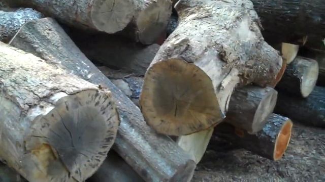 Announcing my new business - Hollmans Outdoor Solutions LLC смотреть онлайн