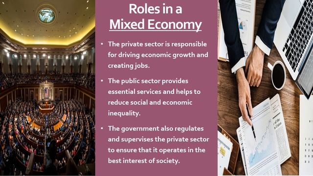 Private vs. Public Sector in a Mixed Economy - Classification of Businesses - Business Studies 1.2. смотреть онлайн