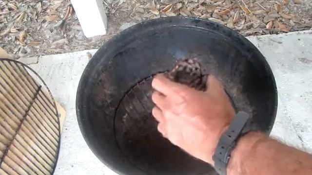 Make A Fire Starter From Pine Cones смотреть онлайн