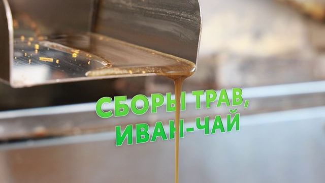 Масло холодного отжима, Сибирский Мёд, травы, бальзамы, мази, настойки