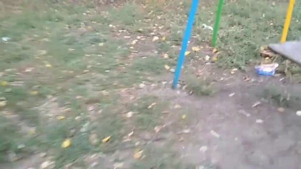 амогусы танцуют 38 секунд.