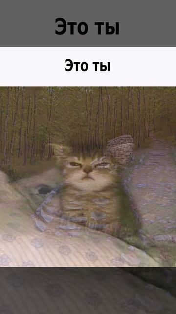 Мем смешной, ситуация страшная ТГ @SaveAllShortsbot смотреть онлайн