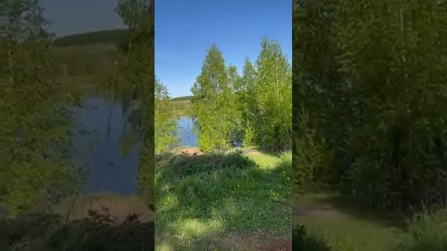 Мина ТМ62М на глубине 60см, обнаружение Альфамарин 5000 смотреть онлайн