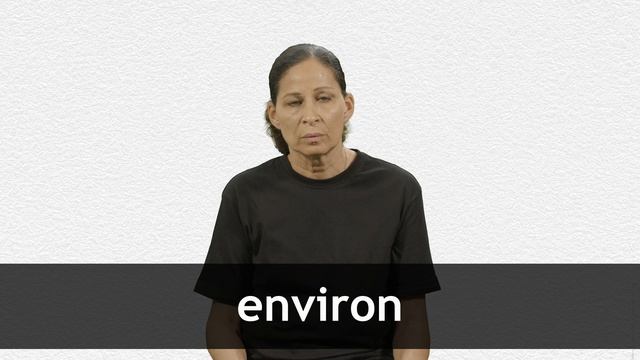 How to pronounce ENVIRON in French смотреть онлайн