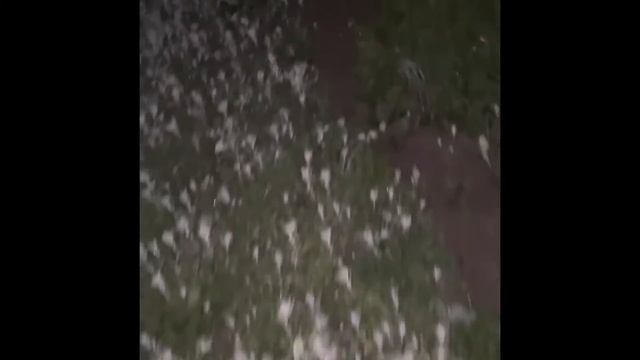 ПРАНК НАД МАРИНОЙ!? ЗАМЕТИЛИ…😰 смотреть онлайн