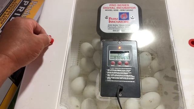 Farm innovators 4250 pro series egg incubator. Hatching. Made in USA смотреть онлайн