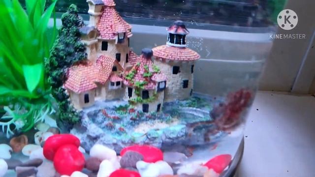 Охота смотреть онлайн