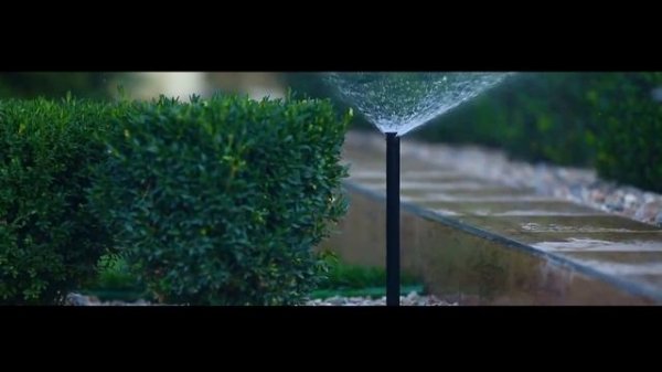 Nika Poliv 23 Видео