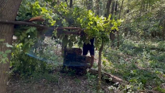 ПОСТРОИТЬ НОЧЛЕГ ЗА ЧАС? КТО ПОБЕДИТ В ЭТОМ ЗАДАНИИ? ЗАБЛУДИЛИСЬ В ЛЕСУ смотреть онлайн