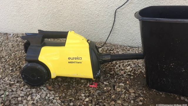 Eureka Mighty Mite Vacuum Destruction