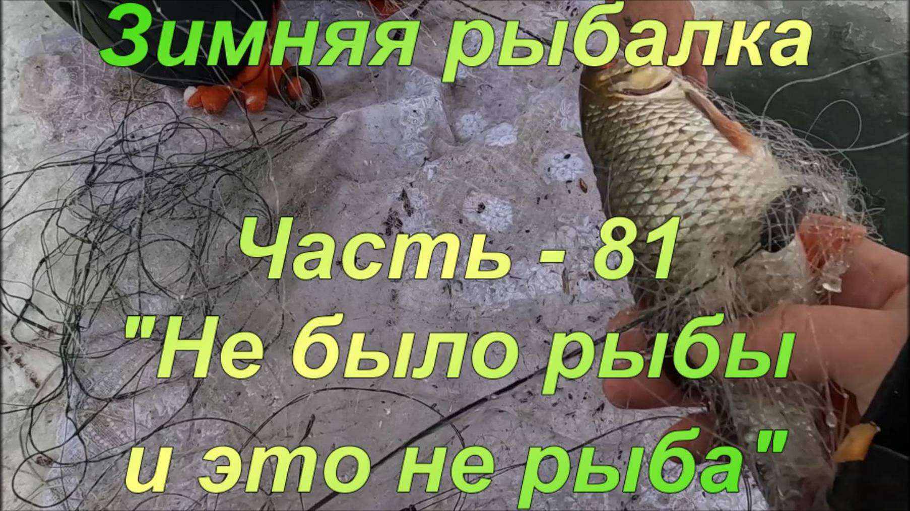 Зимняя рыбалка. Часть - 81. "Не было рыбы и это не рыба". смотреть онлайн