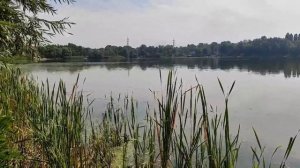 Одержимость 1 серия русская озвучка Турецкий сериал