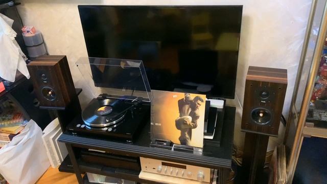 Yamaha Vinyl 500 + Yamaha R-N803 + ProAc Tablette 10 Signature