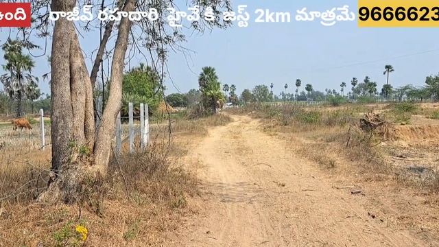 1 acre Agriculture land for sale ||82 km from jbs |near rajiv rahadhari ||near siddipet toll gate смотреть онлайн