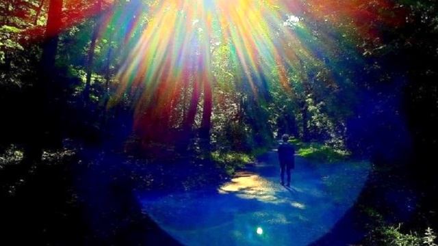 Воспитание человека Пятого измерения. смотреть онлайн