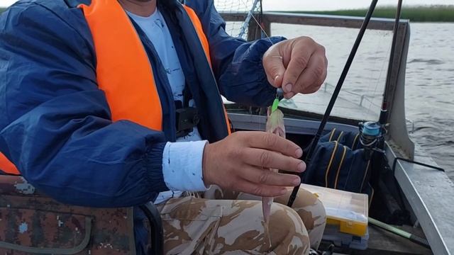 Тролінгуєм,перший пішов-судак👍👍👍 смотреть онлайн