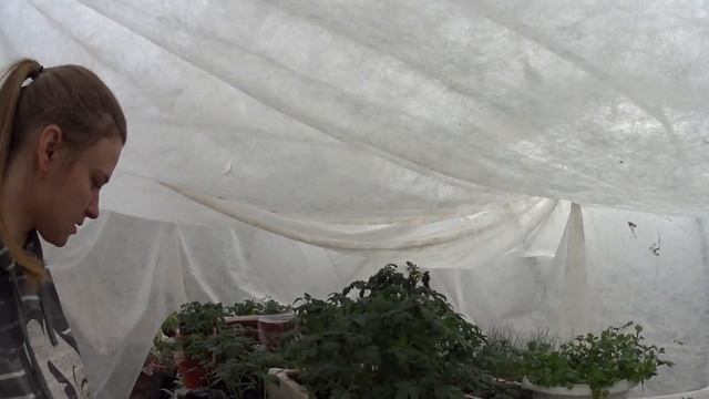 Итоги двух лет жизни в деревне смотреть онлайн