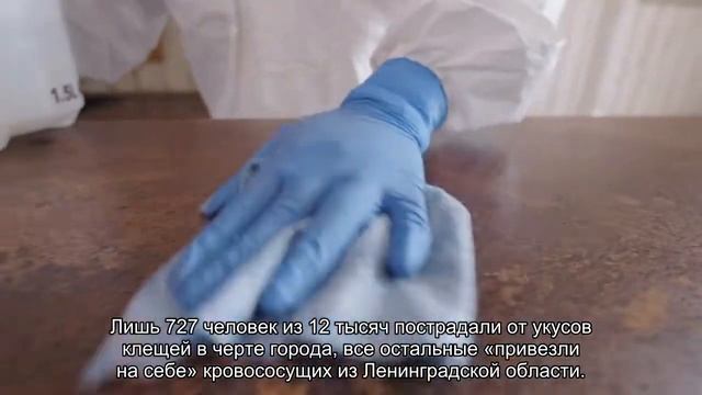 В Петербурге от укусов клещей пострадали 12 тысяч человек смотреть онлайн