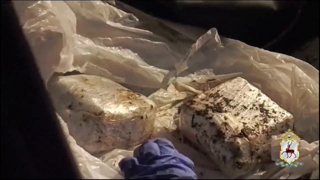 В Нижнем Новгороде полицейские задержали рецидивиста за попытку сбыта гашиша в крупном размере смотреть онлайн