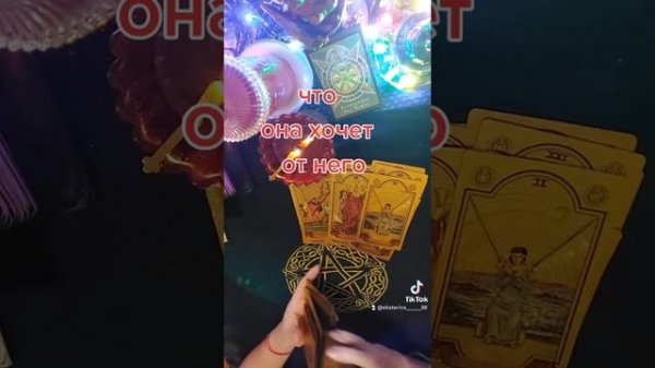 +7(989)632-46-55. ватсап для связи со мной.