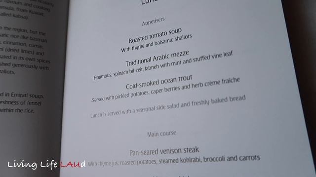 EMIRATES A380 BUSINESS CLASS + CHAUFFEUR SERVICE | DUBAI-FRANKFURT EK45 смотреть онлайн