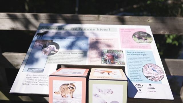 Print Armor - ultra durable signs смотреть онлайн